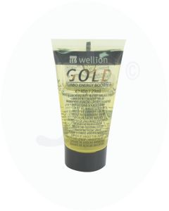 Wellion Invertzucker Sirup 40 g Gold