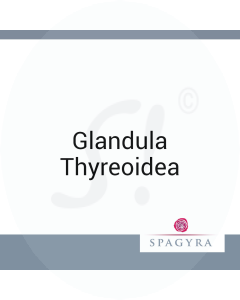 Glandula Thyreoidea Spagyra 10 ml LM 6