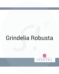 Grindelia Robusta Spagyra C 30 Globuli 10 ml