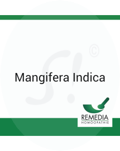 Mangifera Indica Remedia D 200 Globuli 1 g D 200 Globuli